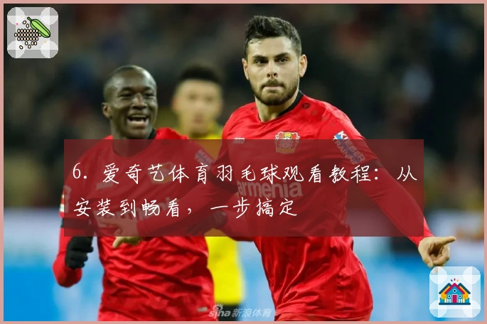 6. 爱奇艺体育羽毛球观看教程：从安装到畅看，一步搞定
